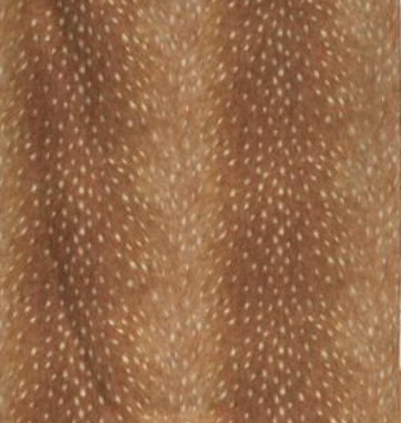 Ladies Minky Coat: Spring Fawn Deer Hide (Includes Coat, Hat, and Fashion Mask)