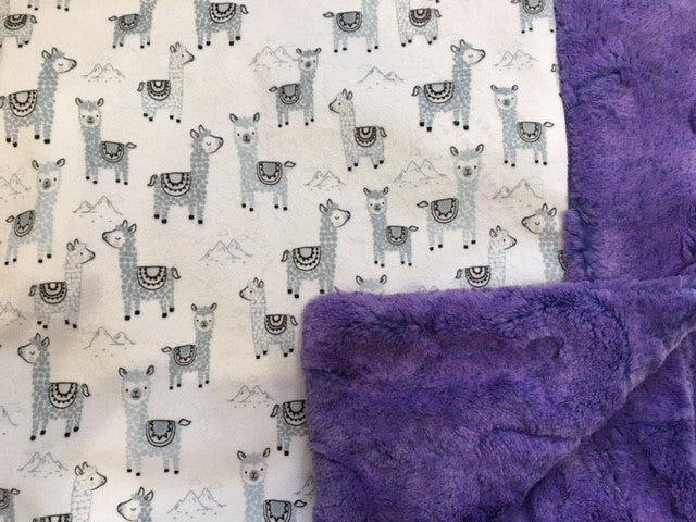 Aplaclettes in Stone on Jelly Bean Hide