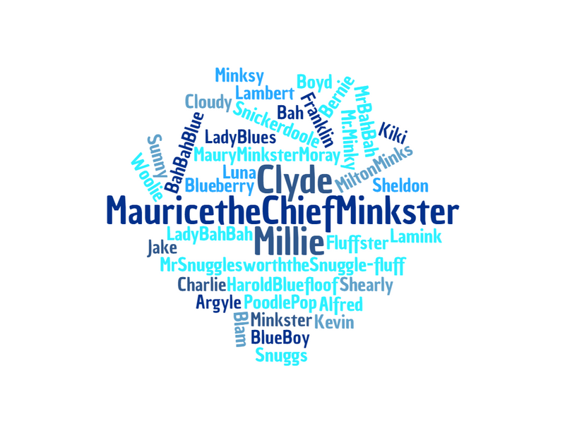 Minksters' Sheep Naming Contest Results