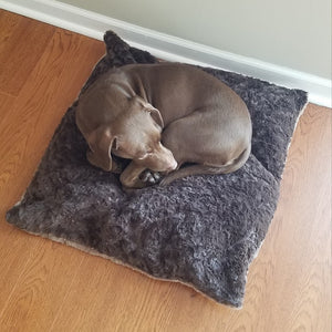 30 pound dog on medium size pet bed