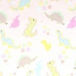 Bordered Style Blanket: Bordered and Backed with Luxe Cuddle Banana Hide on Dinosaurs