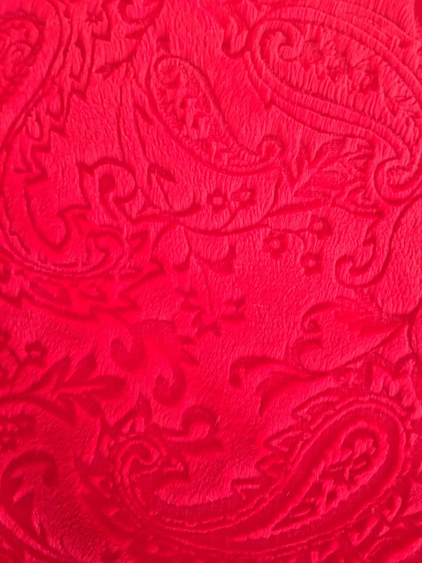 Embossed Paisley in Red