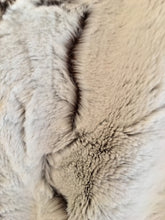 Load image into Gallery viewer, Bordered Style Blanket: Machu Picchu Out N About Bordered Luxe Throw on Luxe Cuddle Frosted Hide Brown