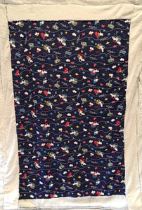 Sail Away Bordered Luxe on Luxe Cuddle Frost Royal