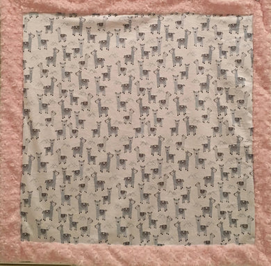 Baby Blanket Bordered in Luxe Cuddle Rosettes in Ice Pink on Alpaclettes in Stone
