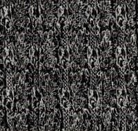 Spot Leopard in Black